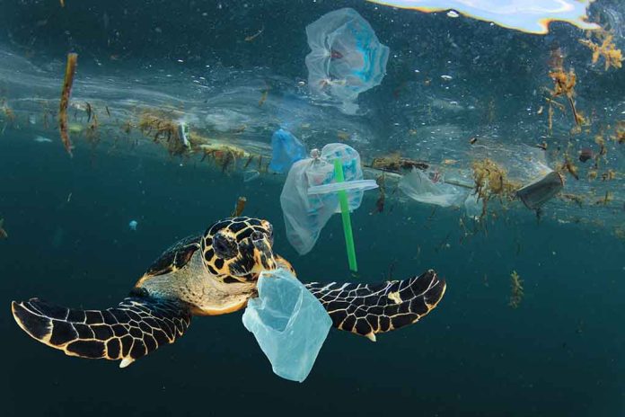 Plastic Eating Microbes Becoming a Reality
