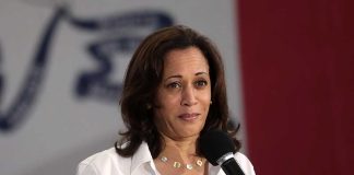 Harris Tweet on Ukraine May Have Played Right Into Russia's Hands