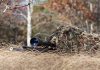 World's Deadliest Sniper Deploying to Ukraine