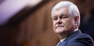 Newt Gingrich Says Democrats Can't Message Their away Out of This