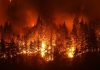 750 Homes Evacuated After Another Wildfire Hits US Soil
