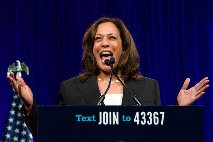 Kamala Harris Reportedly Energized to See Pro-Abortion Protests