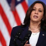 Newt Gingrich Ruthlessly Insults Kamala Harris on National TV