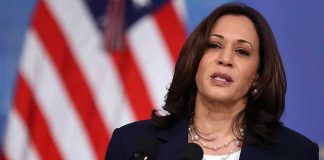 Newt Gingrich Ruthlessly Insults Kamala Harris on National TV