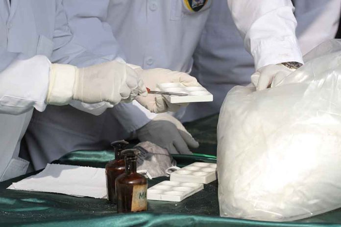 New Record Set After Catching Giant Illegal Drug Stash