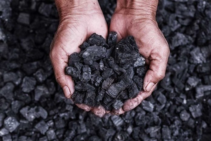 People Are Lining Up for Days To Get Coal for the Winter