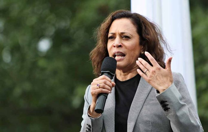 Fact Checking Kamala Harris' 14 DNC Speech Claims