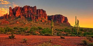 Phoenix