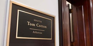 Tom Cotton