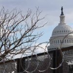 White House, Fence