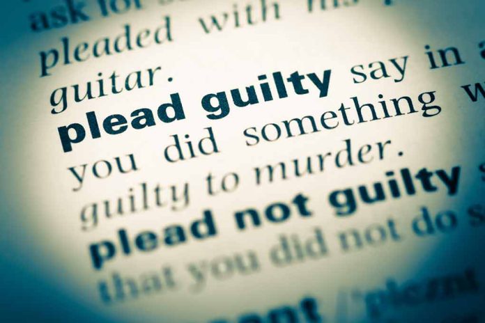 Definition of "plead guilty" in a dictionary.