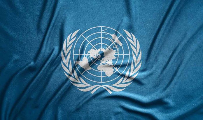 Blue flag with white United Nations emblem