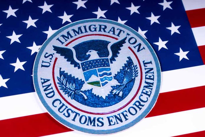 1055129168 featured image US Immigration and Customs Enforcement emblem on flag