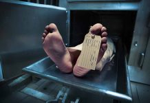 dead body