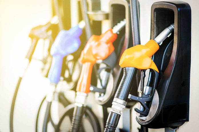 556957450 featured image Colorful gas pump nozzles at a station