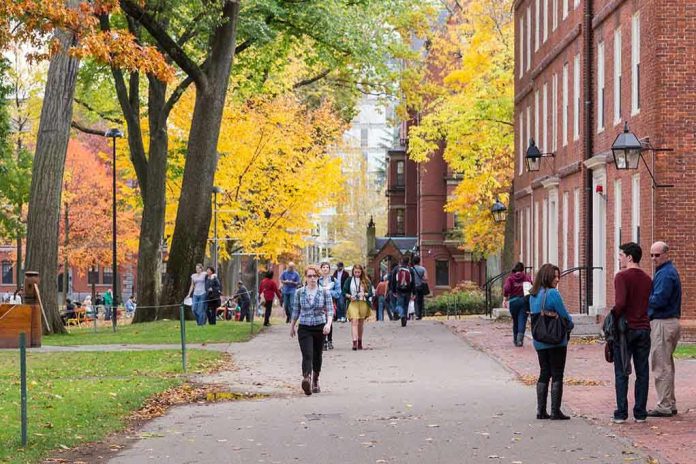 193437935 People walking on a college campus in autumn
