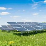 Solar panels in a grassy field under blue sky.