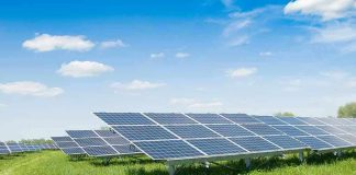 Solar panels in a grassy field under blue sky.