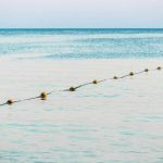 Lemon’s Wild Border Claim Ignites Absolute FURY border buoy