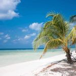Tropical beach with palm trees and clear blue water under a bright sky