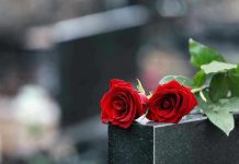 Two red roses on a gravestone