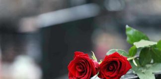 Two red roses on a gravestone