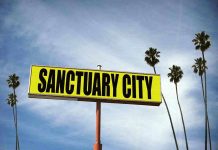 Blue Cartels Hijack Democrat Cities Sanctuary City sign with palm trees and sky.