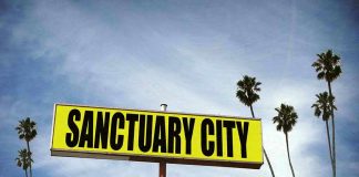 Sanctuary City sign with palm trees and sky.