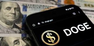 Smartphone displaying Doge logo on hundred dollar bills