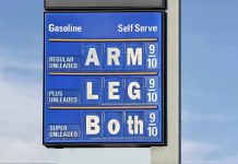Gas station price sign displaying fuel prices