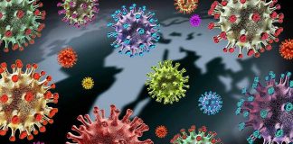 NIH’s Terrifying Cover-Up Colorful virus illustrations over a world map.