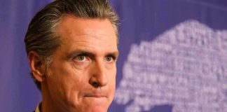 Newsom Walks Back ICE Terrorism Claim Man in suit, solemn expression, purple background with bear drawing.