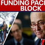 DHS Funding Thrown Into Chaos Minneapolis fallout: Schumer says Dems will vote 'NO' on