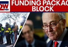 DHS Funding Thrown Into Chaos Minneapolis fallout: Schumer says Dems will vote 'NO' on
