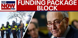 Minneapolis fallout: Schumer says Dems will vote 'NO' on