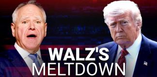 'Tampon' Tim blasted after hysterical meltdown about Trump