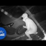 Neighborhood Dispute Explodes!