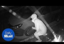 Neighborhood Dispute Explodes!