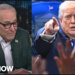 Supreme Court Nukes Trump Tariffs 'Like a baby': Schumer BLASTS Trump's tantrum over tariff