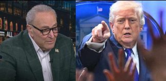 'Like a baby': Schumer BLASTS Trump's tantrum over tariff