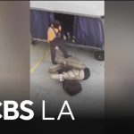 LAX Handler CAUGHT—Trashing Guitars Like Garbage LAX Handler CAUGHT—Trashing Guitars Like Garbage