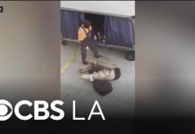 LAX Handler CAUGHT—Trashing Guitars Like Garbage LAX Handler CAUGHT—Trashing Guitars Like Garbage