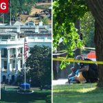 Bullets FLY Near White House — Child Wounded