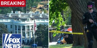 Bullets FLY Near White House — Child Wounded