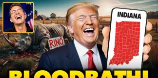 TRUMP PURGE: Indiana Senate RINOS Crushed