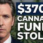 $370M Cannabis Funds STOLEN For Politics—This Is Worse Than You Think
