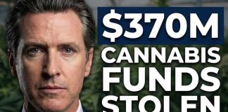 $370M Cannabis Funds STOLEN For Politics—This Is Worse Than You Think
