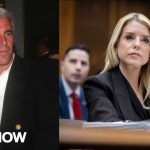 'Extremely politicized': Tim Miller on GOP handling of Epstein files