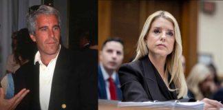 'Extremely politicized': Tim Miller on GOP handling of Epstein files