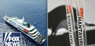 CDC activates Level 3 hantavirus response after cruise outbreak